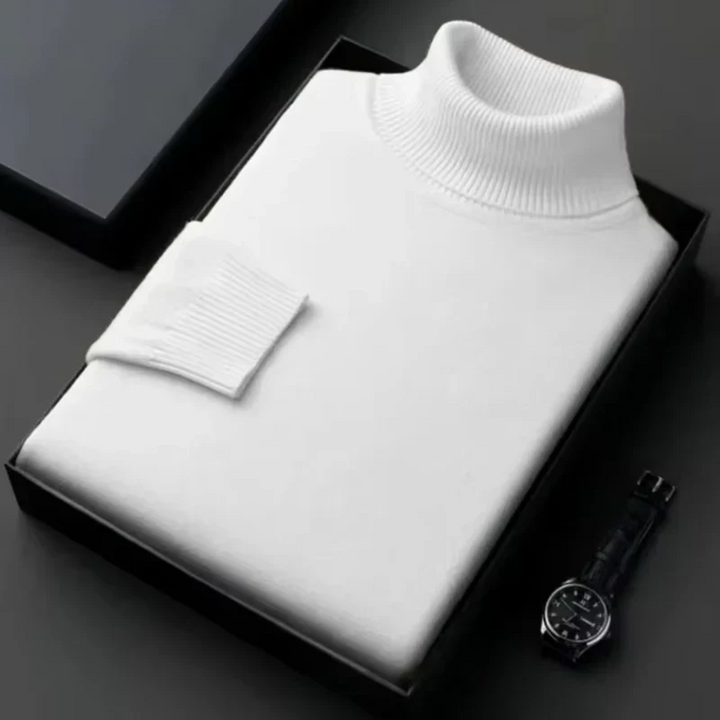Alioth Cashmere Turtleneck